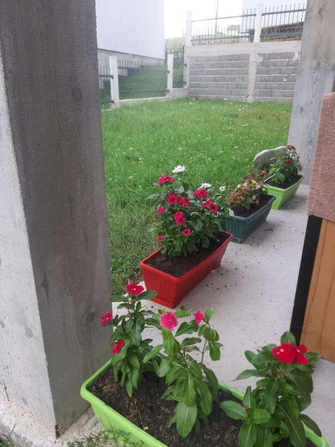 זבליאק Apartments Andriyana מראה חיצוני תמונה